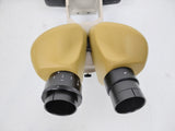 Olympus SF10 Microscope Head w/ SZ-STB1 Holder