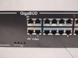 Z-Band Z Video GigaBUD 1000 Video Hub