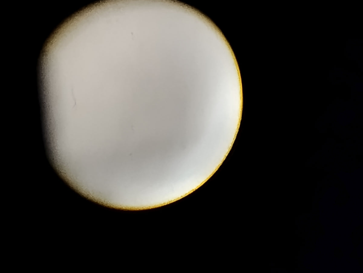 Intuitive Surgical 311465-05 Da Vinci Scope 12mm 30 Deg