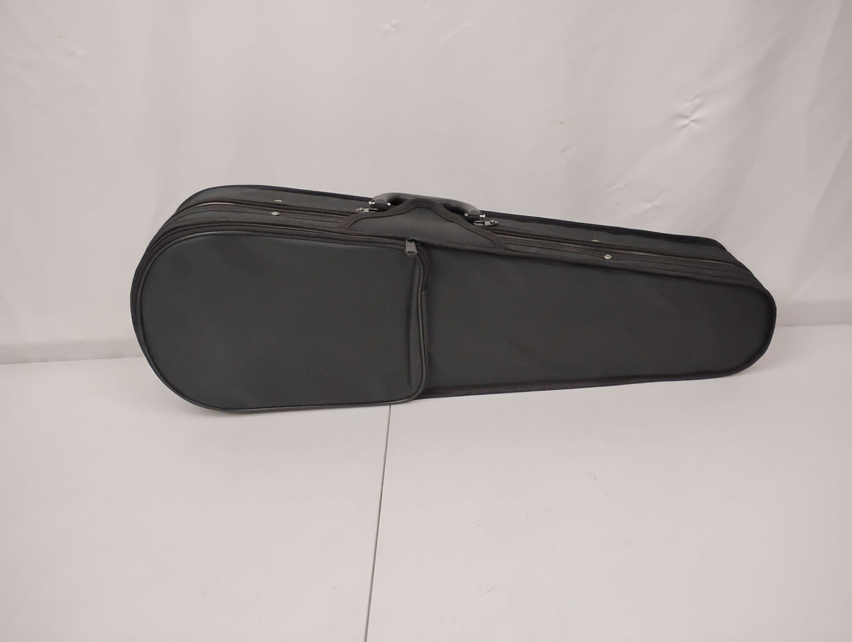 Violin 4/4 Full Size Kit, Violin Fiddle Set for Beginner Adults with Rosewood Bow & Case
