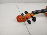 Violin 4/4 Full Size Kit, Violin Fiddle Set for Beginner Adults with Rosewood Bow & Case